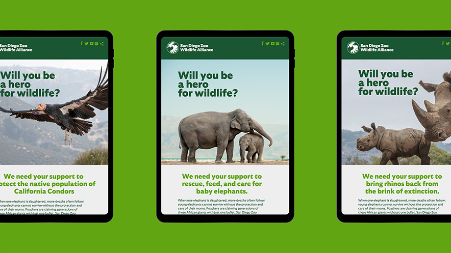 圣迭亞哥(San-Diego-Zoo)動(dòng)物園官網(wǎng)展示在平板電腦.jpg