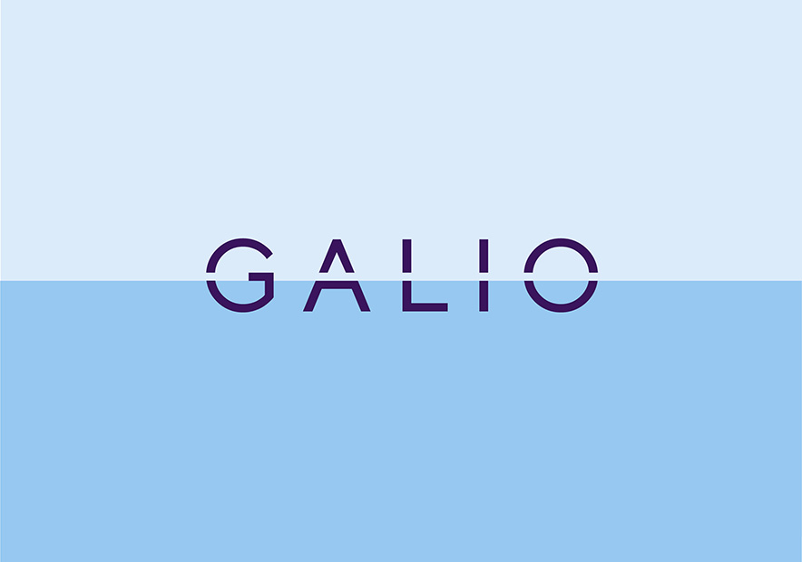 Galio集團國際房產(chǎn)vi設計-房產(chǎn)開發(fā)公司logo設計賞析-探鳴品牌VI設計公司.jpg