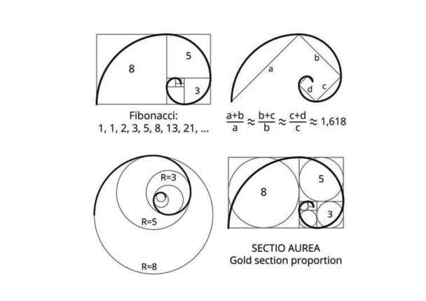 將黃金比例應(yīng)用于標(biāo)志設(shè)計(jì).png