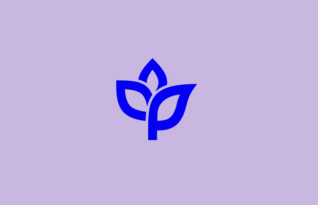 法國Ankorstore電商平臺整套VI設(shè)計系統(tǒng)與logo設(shè)計.png
