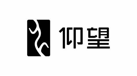 比亞迪仰望logo設(shè)計(jì)理念是什么-探鳴設(shè)計(jì).jpeg